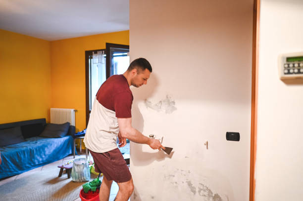 Best Toxic Mold Removal  in Cade, LA