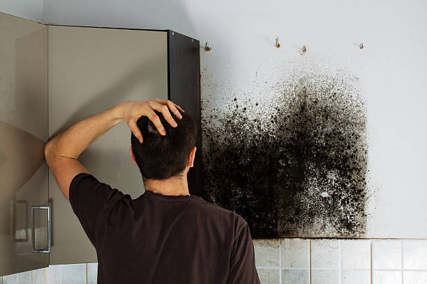 Best Mold Removal Process  in Cade, LA